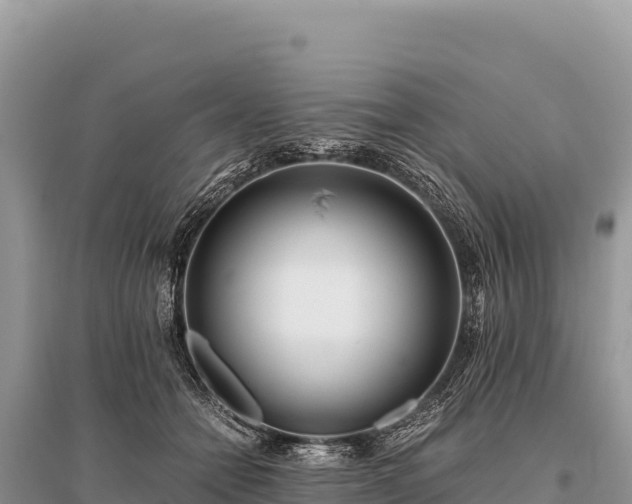 X0000096180558200801251219