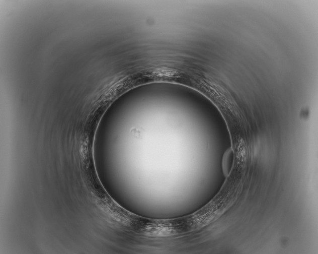 X0000096180559200801251219