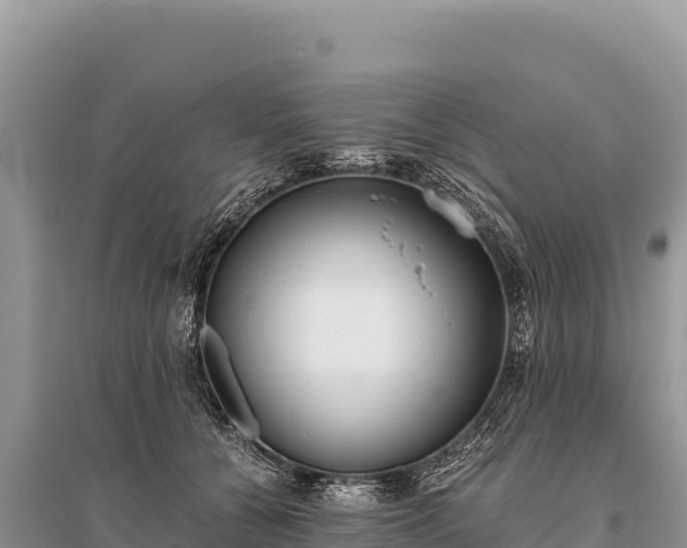 X0000096180560200801251219