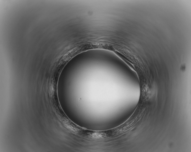 X0000096180566200801251219