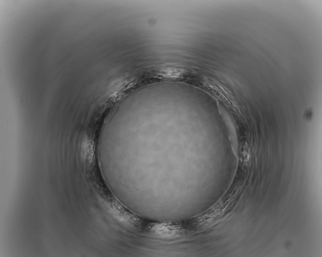 X0000096180568200801251219