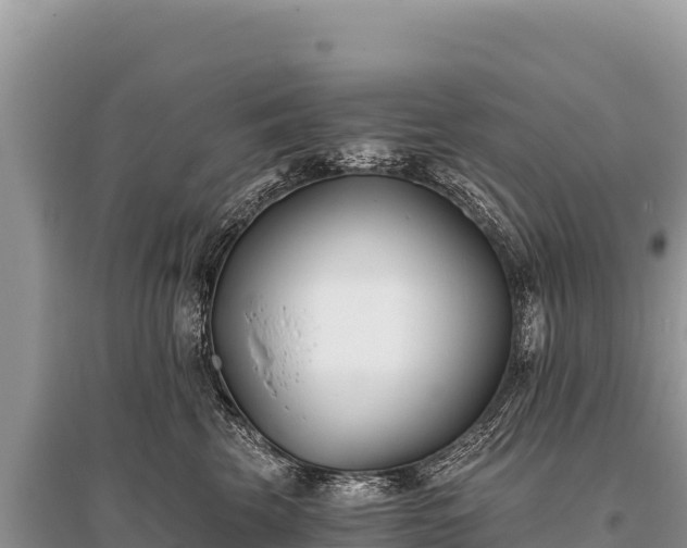 X0000096180569200801251219