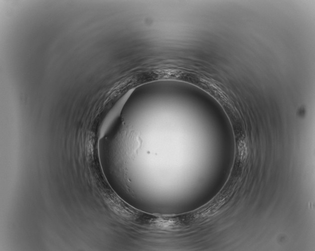 X0000096180570200801251219