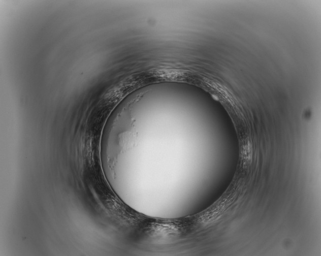 X0000096180572200801251219