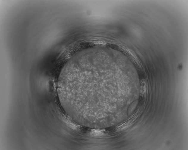 X0000096180573200801251219