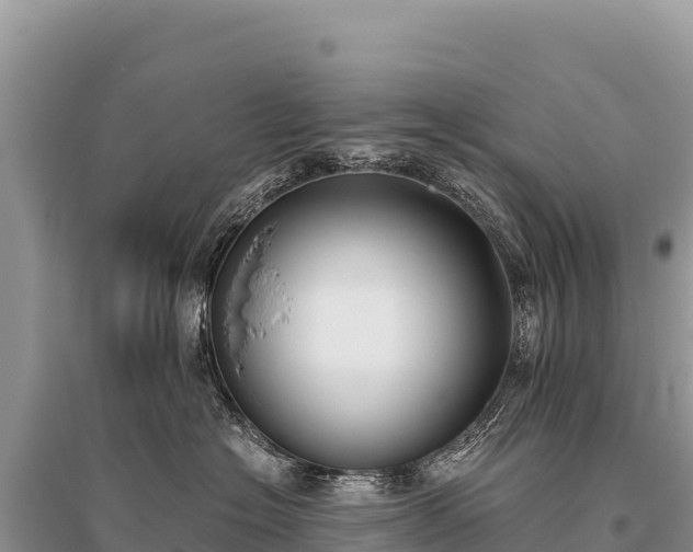 X0000096180574200801251219