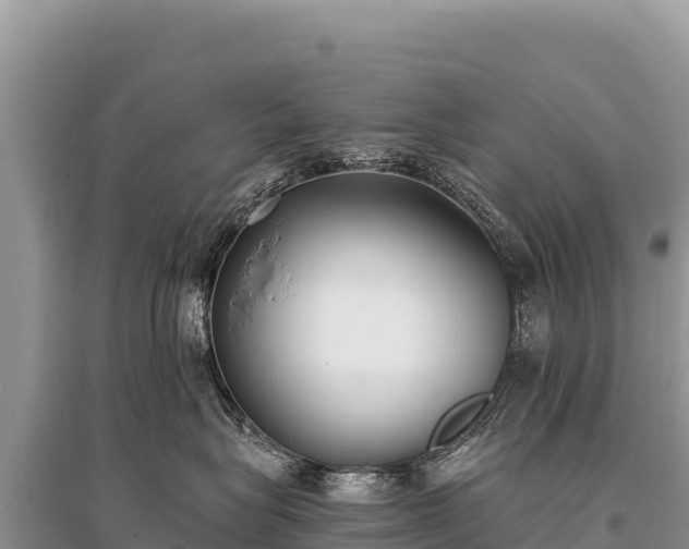 X0000096180575200801251219