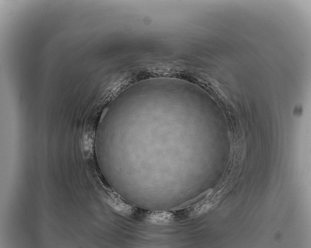 X0000096180576200801251219