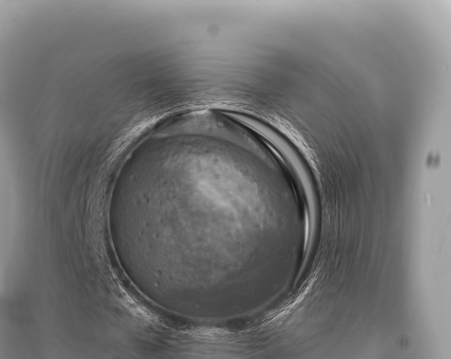 X0000096180577200801251218
