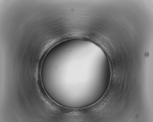 X0000096180578200801251218
