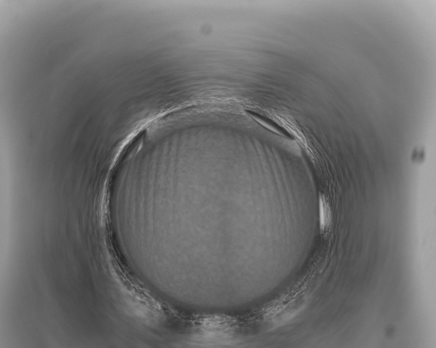 X0000096180579200801251218