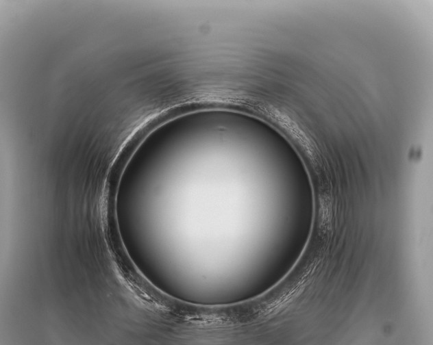 X0000096180580200801251218