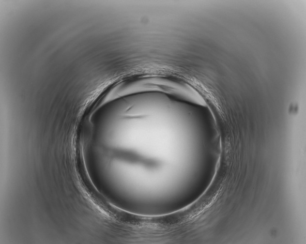 X0000096180581200801251218