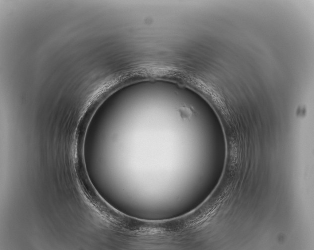 X0000096180582200801251218