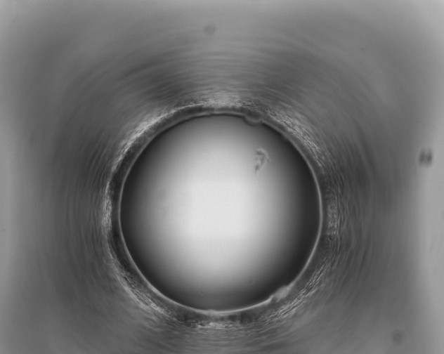 X0000096180584200801251218