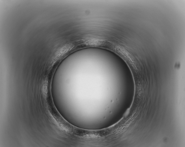 X0000096180586200801251218
