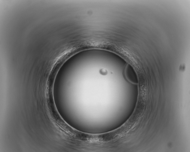 X0000096180587200801251218