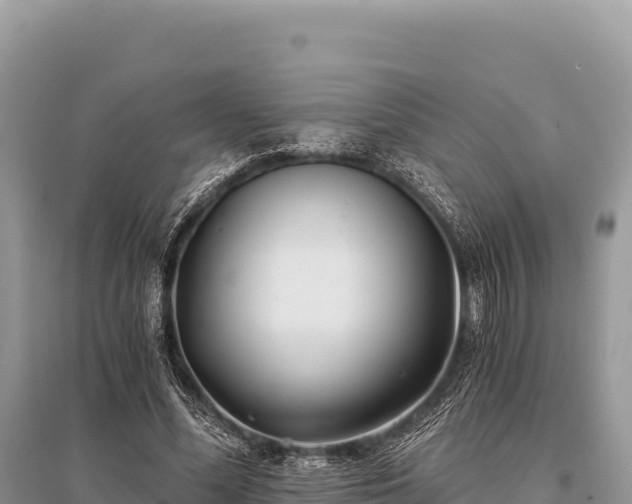X0000096180588200801251218