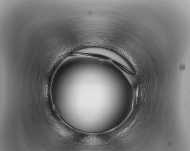 X0000096180589200801251218