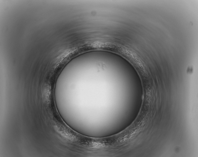 X0000096180592200801251218