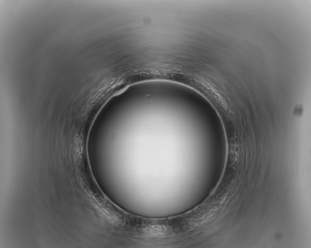 X0000096180593200801251218