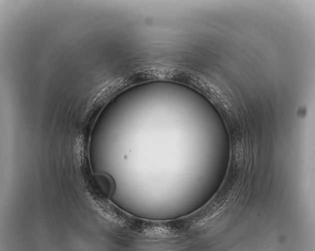 X0000096180594200801251218