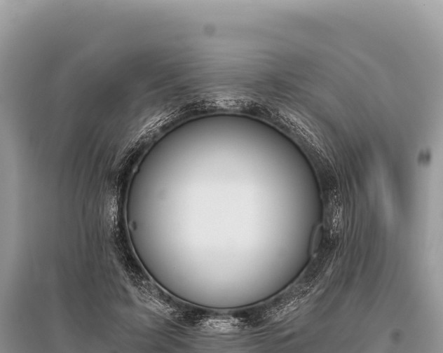 X0000096180595200801251218