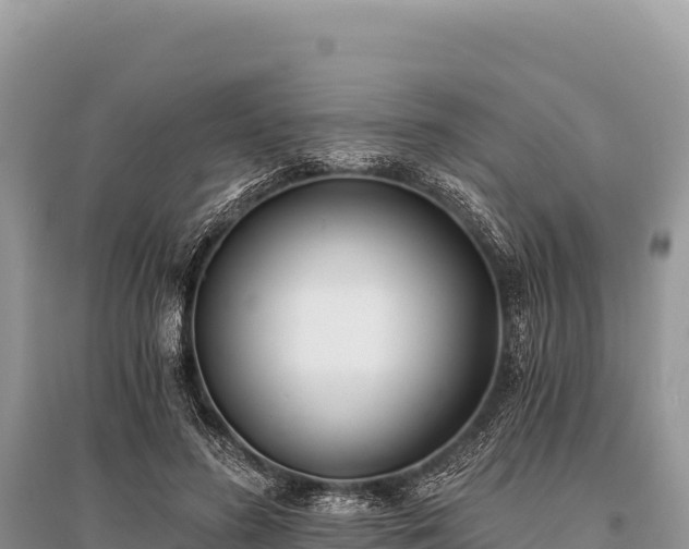 X0000096180596200801251218