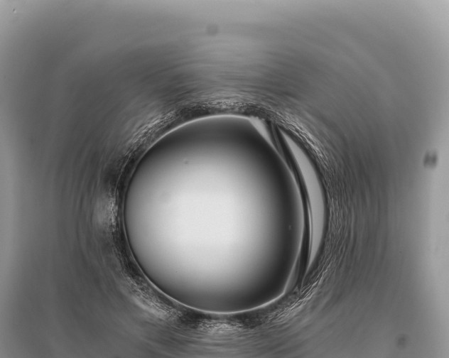X0000096180597200801251218