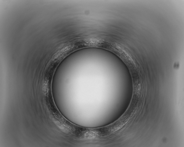 X0000096180599200801251218