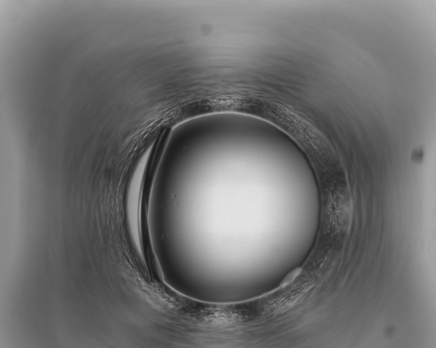 X0000096180601200801251218