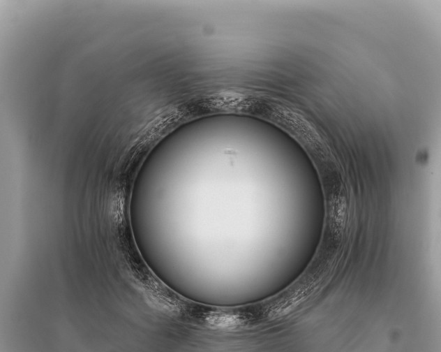 X0000096180602200801251218
