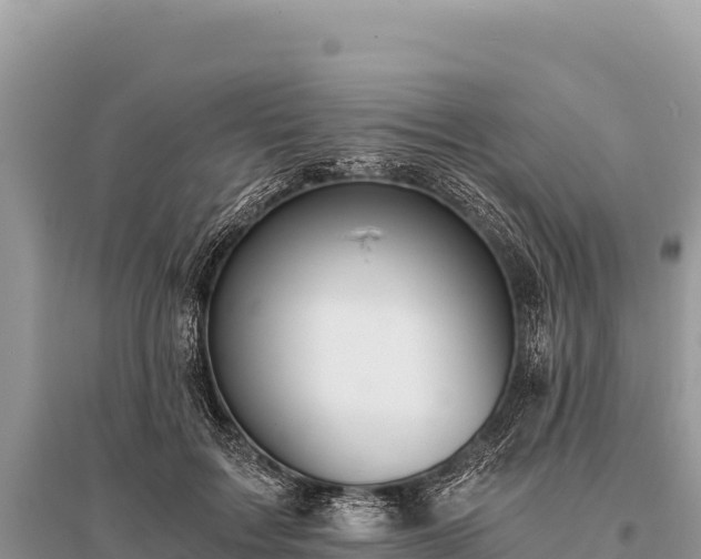 X0000096180603200801251218
