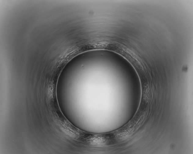 X0000096180604200801251218