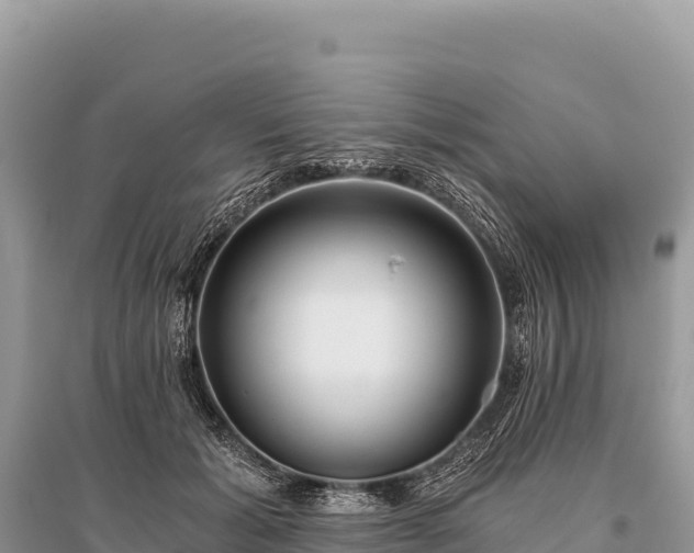 X0000096180605200801251218