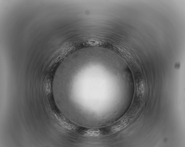 X0000096180606200801251218