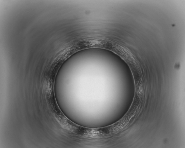 X0000096180607200801251218