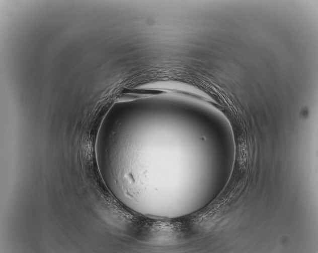 X0000096180613200801251217
