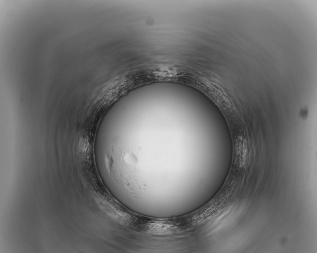 X0000096180614200801251217