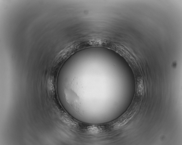 X0000096180616200801251217