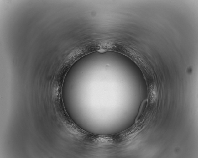 X0000096180619200801251217