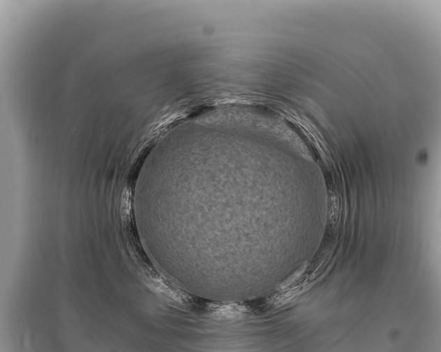 X0000096180621200801251217