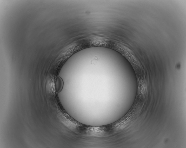 X0000096180622200801251217