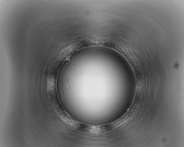 X0000096180623200801251217