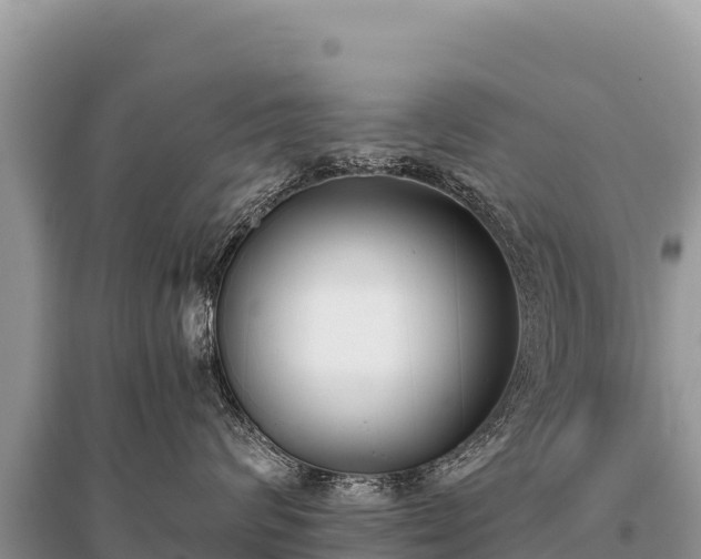 X0000096180624200801251217