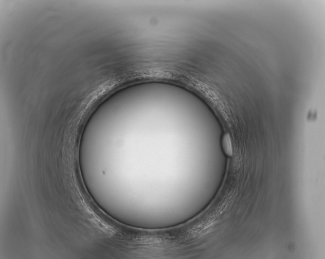 X0000096180625200801251216