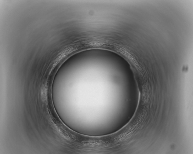 X0000096180626200801251216