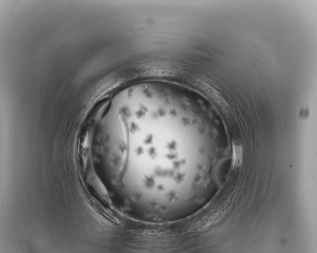 X0000096180627200801251216