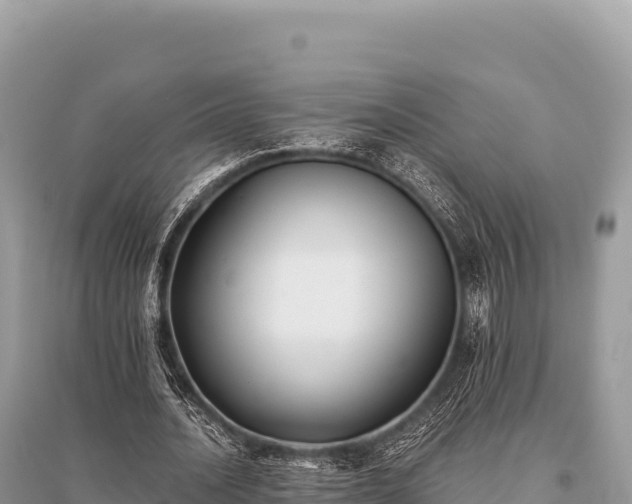 X0000096180628200801251216