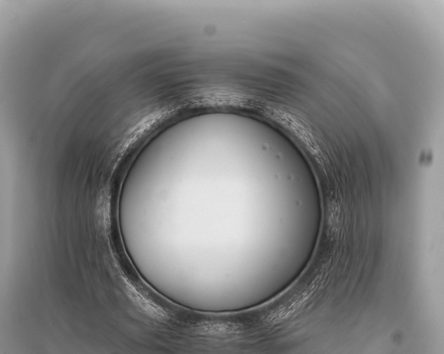 X0000096180629200801251217